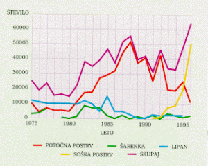 Statistika ulova rib 1975 – 1996